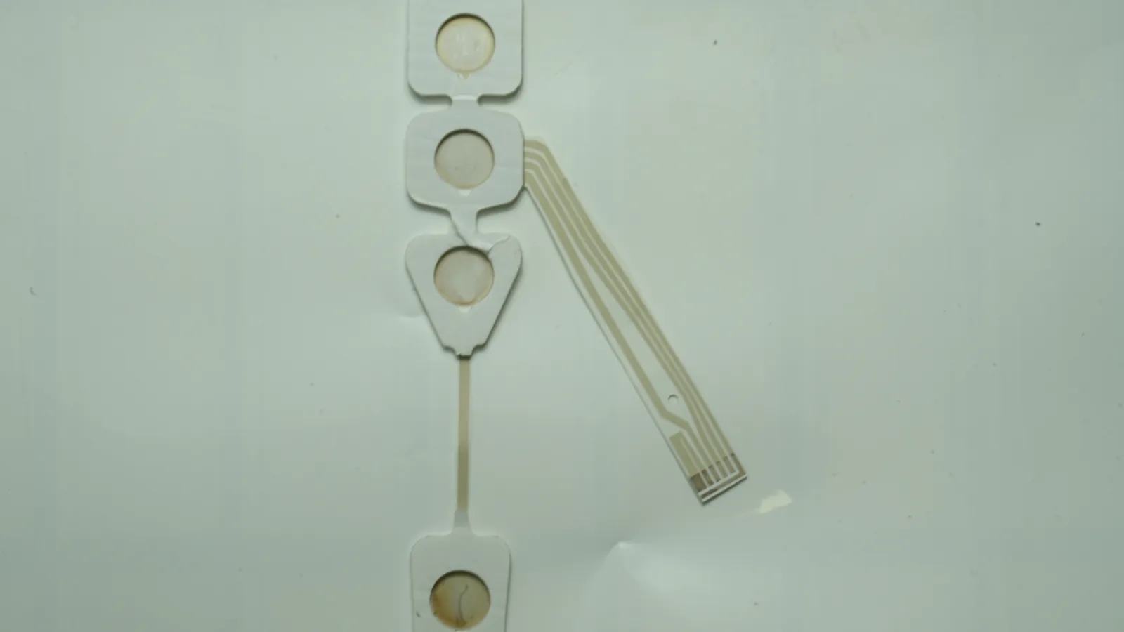 Real JASPER printed electrode sample for Printed Medical Electrode RFQ Checklist | JASPER
