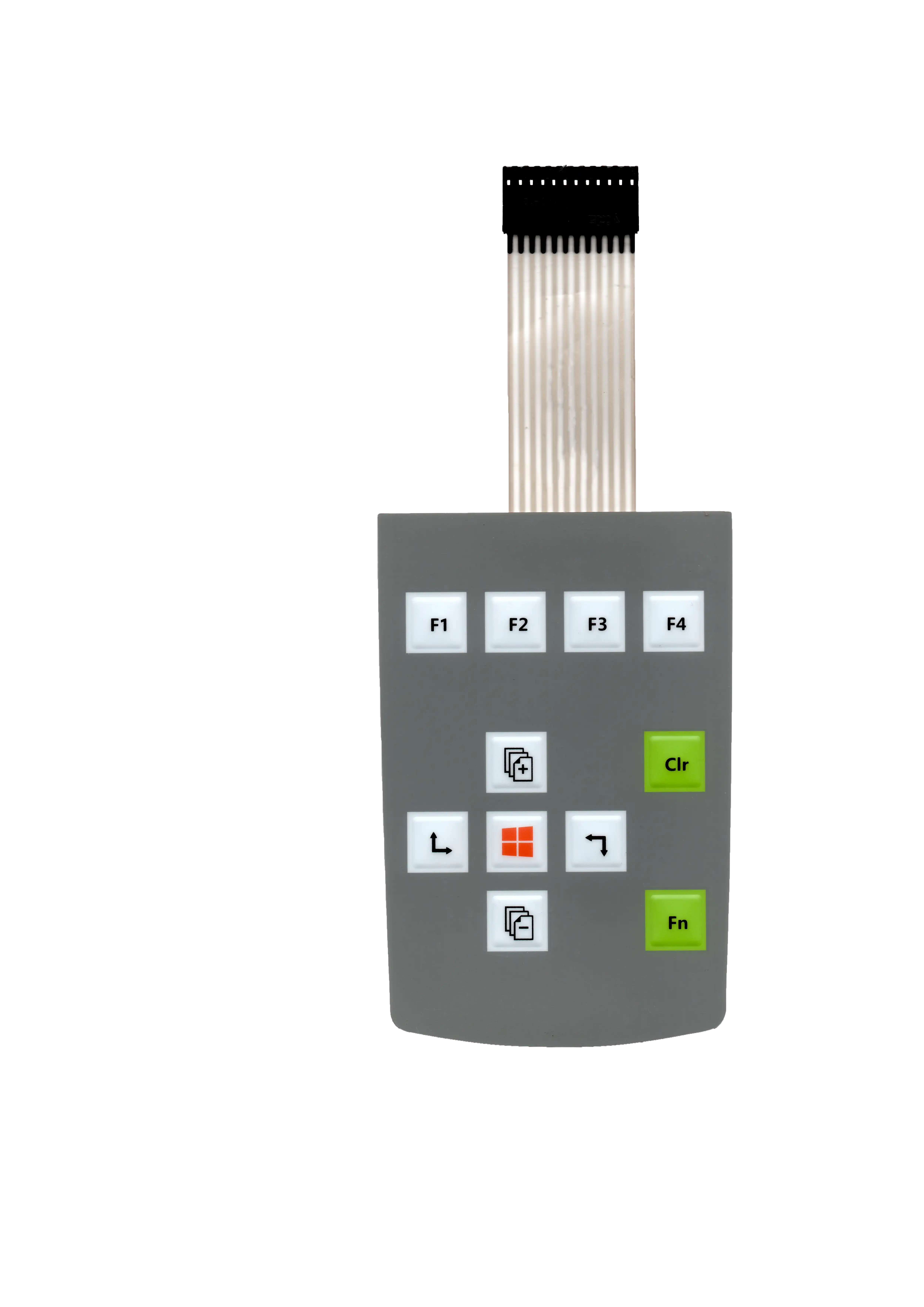 Illuminated membrane switch panel with status indicators