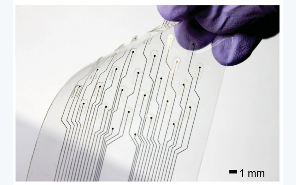Transparent flexible gold electrode array held by a gloved hand