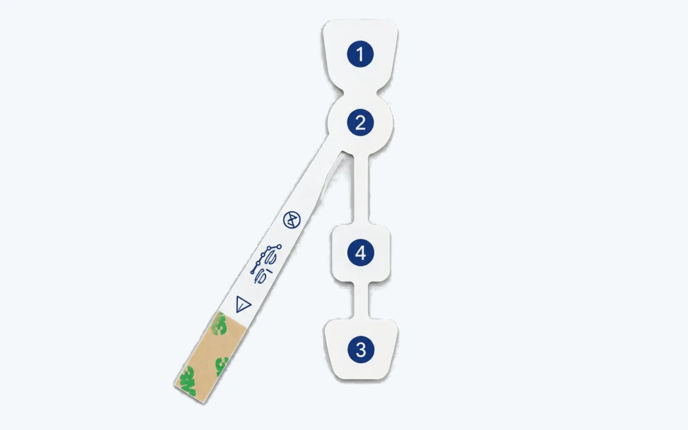 Numbered four-site flexible electrode array with branched positions and adhesive-backed tail