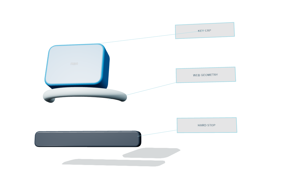 Three-dimensional silicone key section showing the key cap, web geometry, and hard stop
